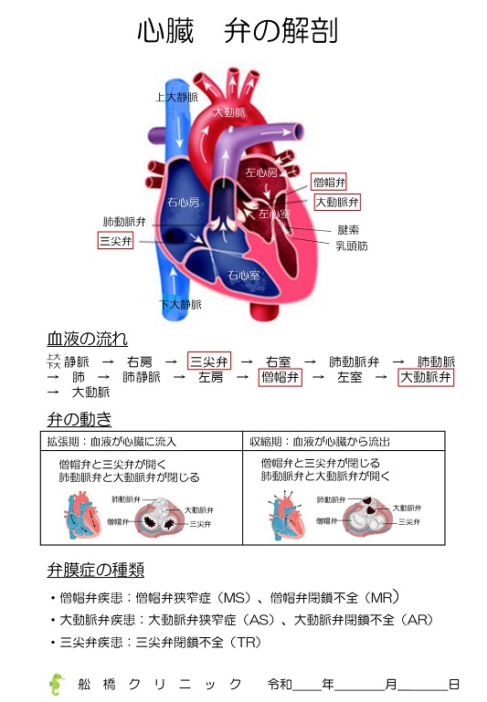 当院の診療方針