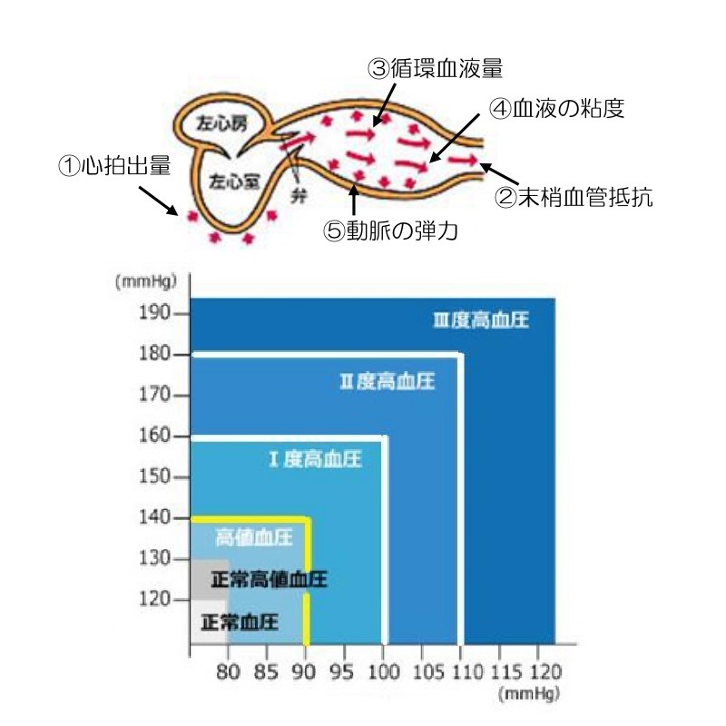 高血圧