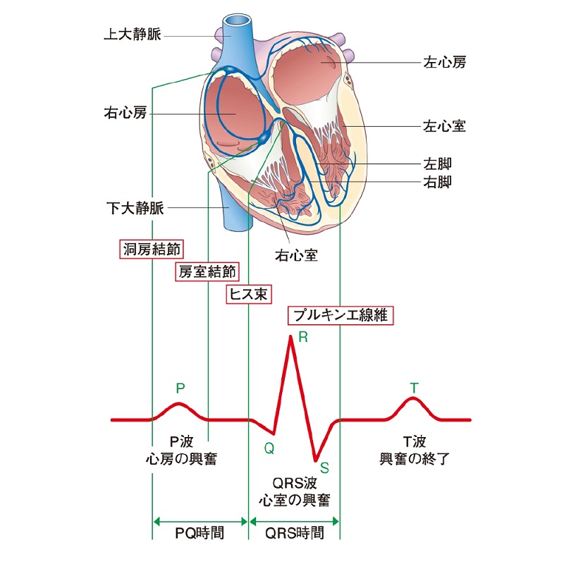 不整脈